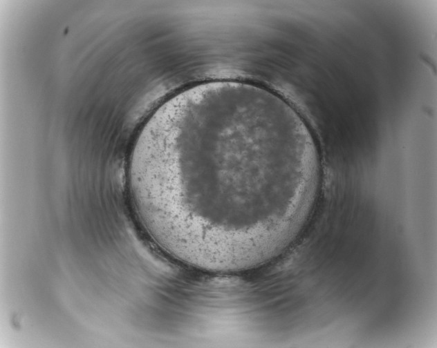 X0000102540063200808291851