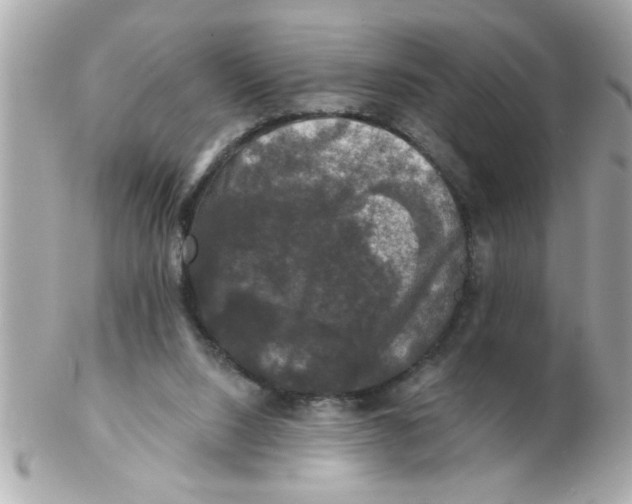 X0000102540064200808291851