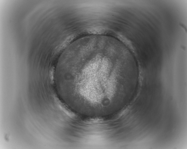 X0000102540065200808291851