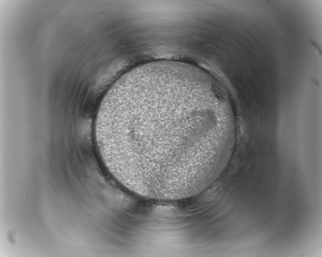 X0000102540066200808291851