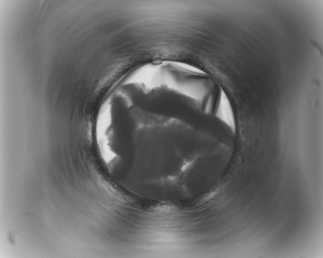 X0000102540067200808291851