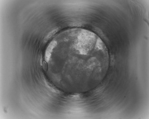 X0000102540068200808291851