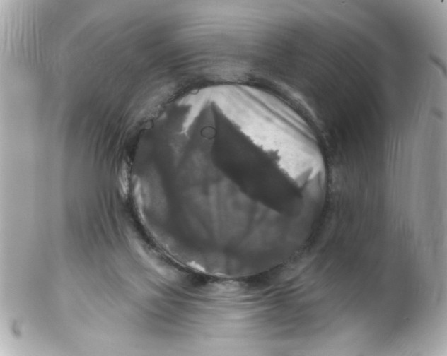 X0000102540069200808291851