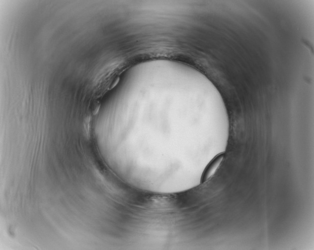 X0000102540070200808291851