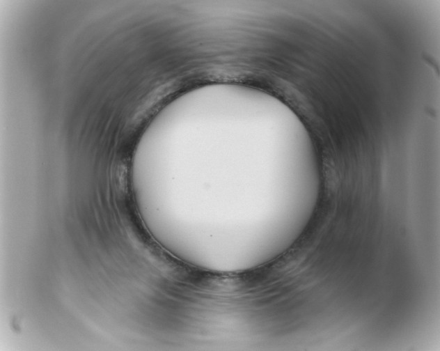 X0000102540071200808291851