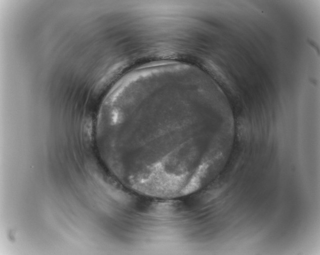 X0000102540072200808291851