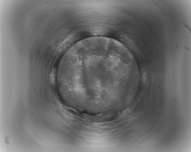 X0000102540074200808291851