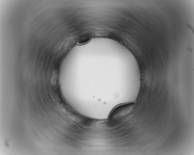 X0000102540078200808291851