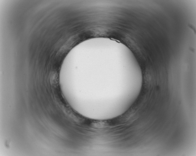 X0000102540079200808291851