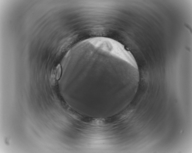 X0000102540080200808291851