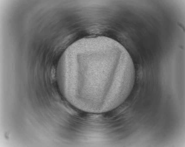 X0000102540081200808291851