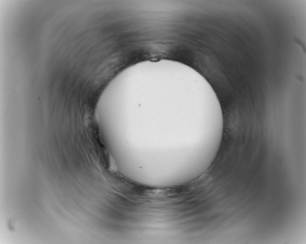 X0000102540082200808291851