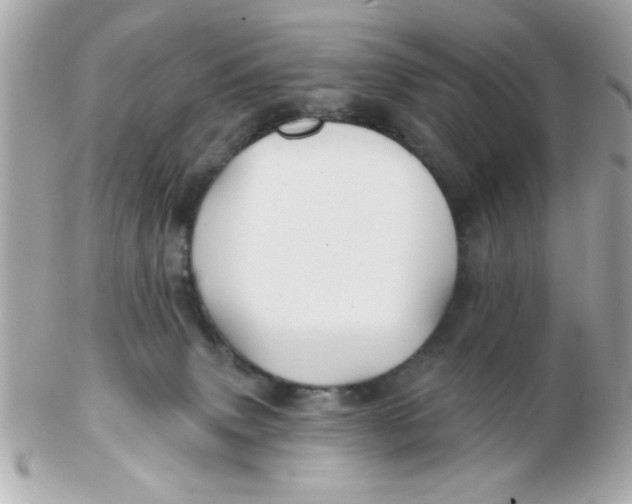 X0000102540083200808291851