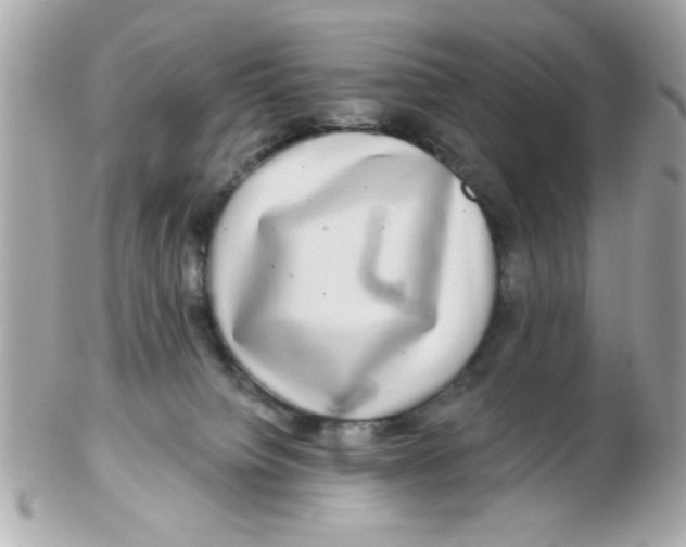 X0000102540084200808291851