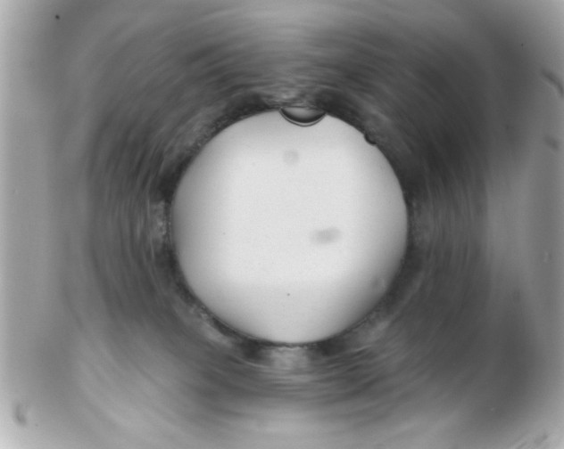 X0000102540085200808291851