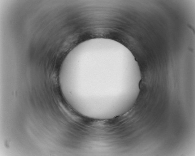 X0000102540086200808291851