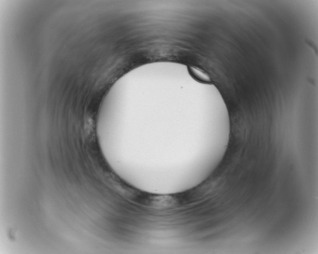 X0000102540087200808291851