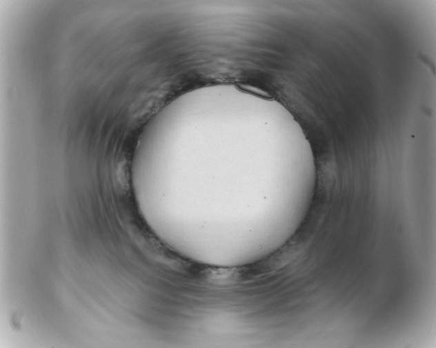 X0000102540088200808291851