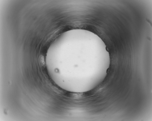 X0000102540089200808291851