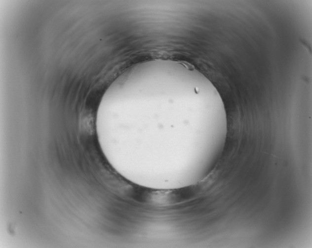 X0000102540090200808291851