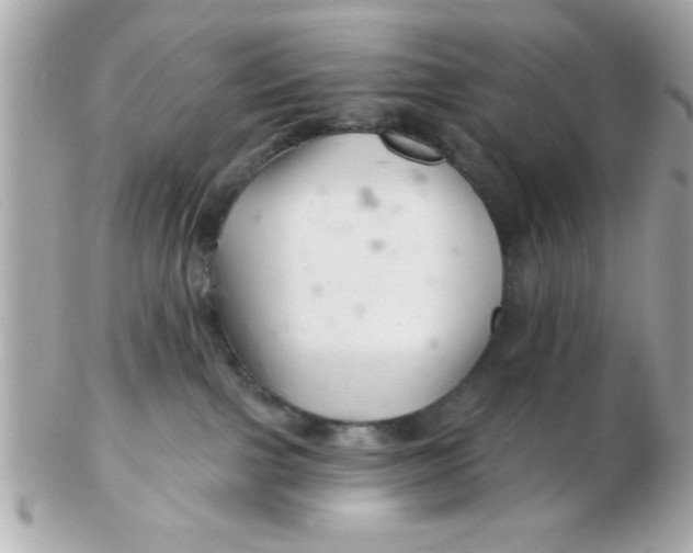 X0000102540091200808291851