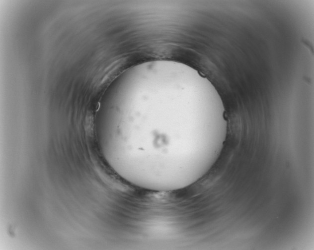 X0000102540092200808291851