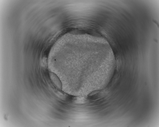 X0000102540093200808291851