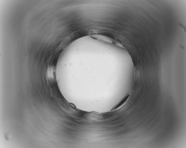 X0000102540094200808291851