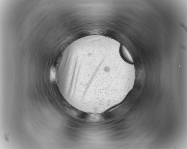 X0000102540095200808291851