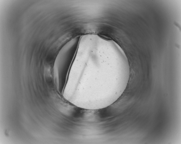 X0000102540096200808291851