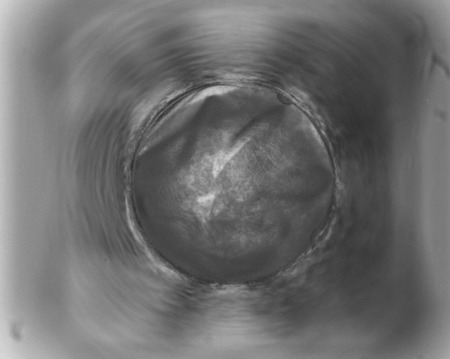 X0000102540097200808291851