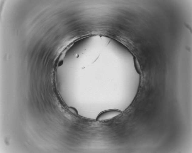 X0000102540098200808291851