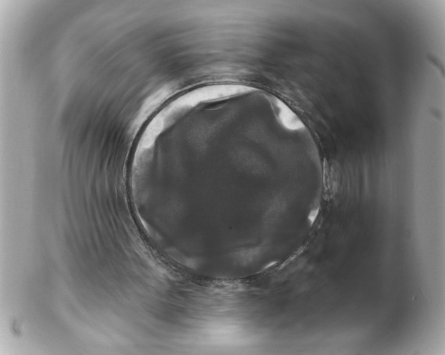 X0000102540099200808291851