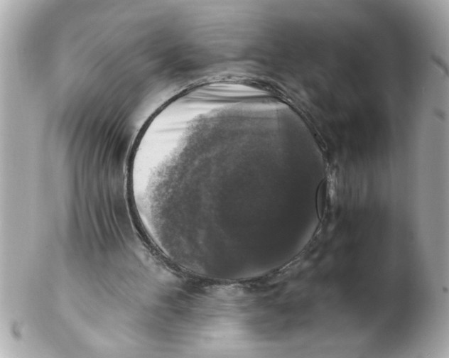 X0000102540100200808291851