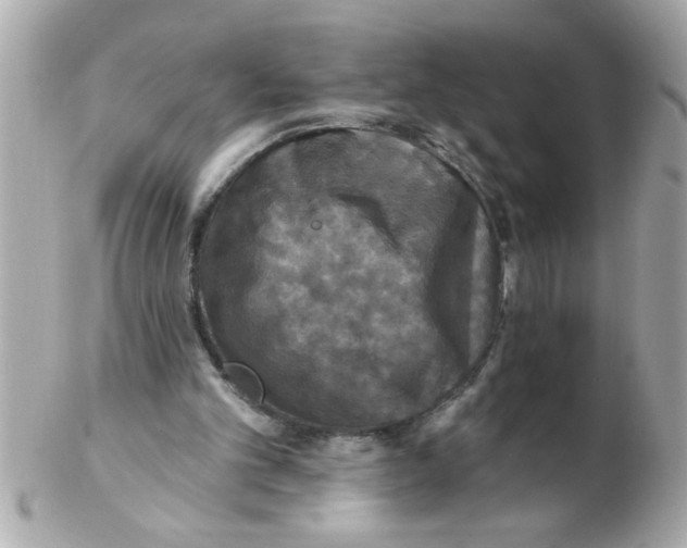 X0000102540101200808291851