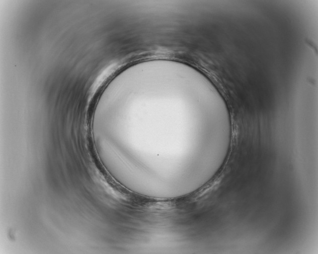 X0000102540102200808291851