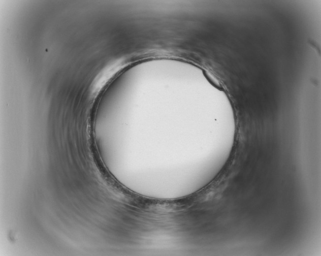 X0000102540103200808291851