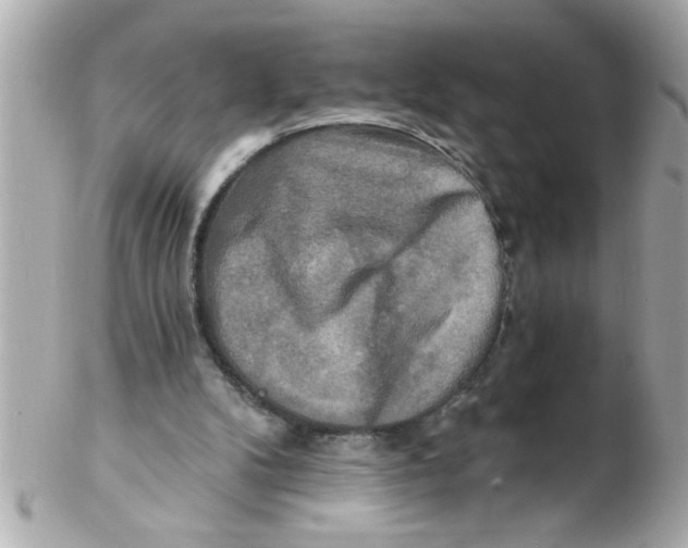 X0000102540104200808291851