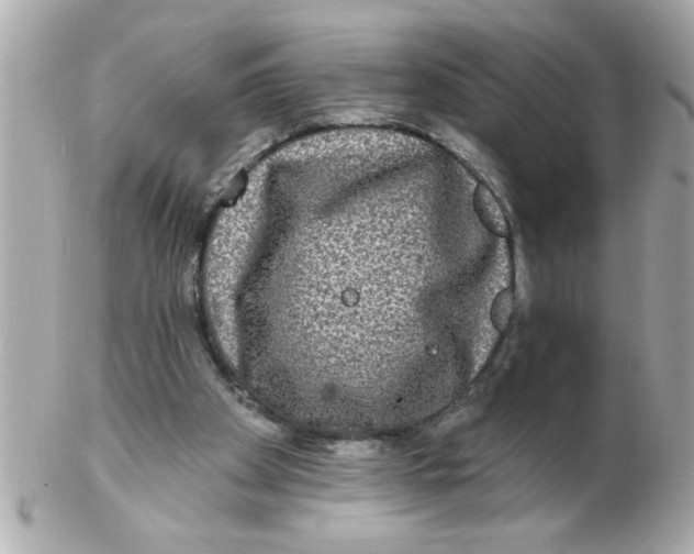 X0000102540105200808291851