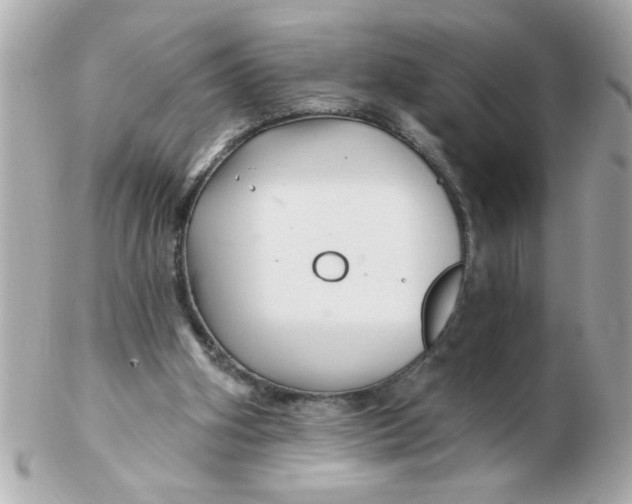 X0000102540106200808291851