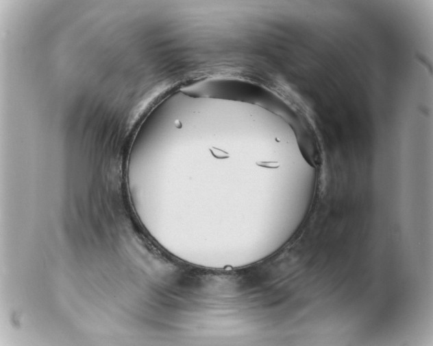 X0000102540107200808291851