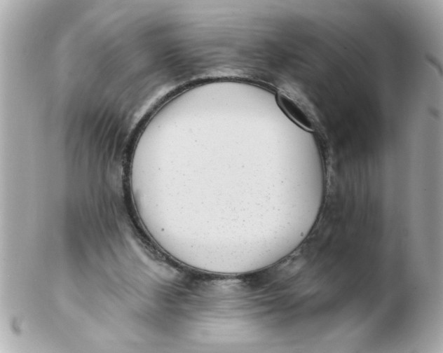 X0000102540108200808291850