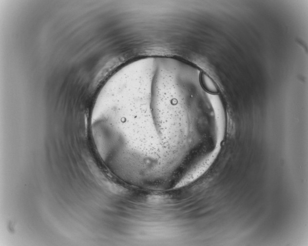 X0000102540109200808291850