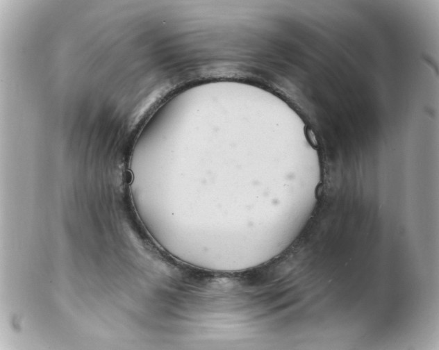 X0000102540111200808291850