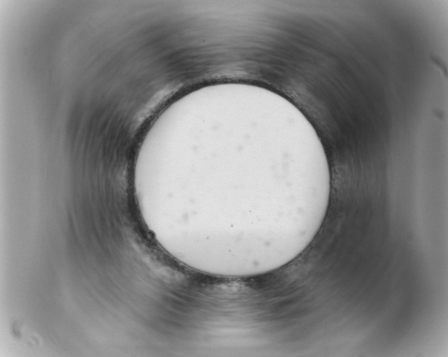 X0000102540112200808291850