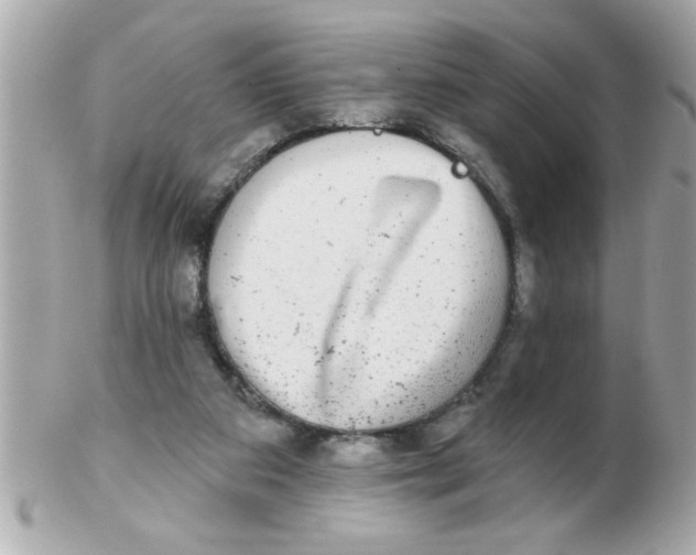 X0000102540113200808291850