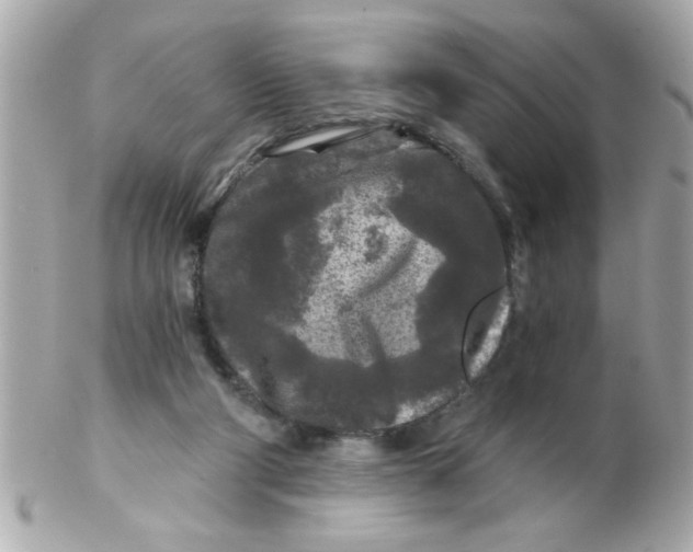 X0000102540114200808291850