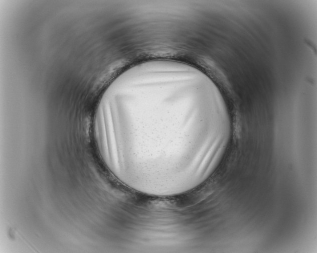 X0000102540115200808291850