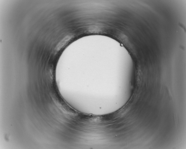 X0000102540116200808291850