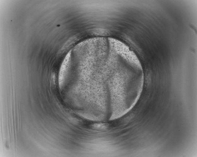 X0000102540117200808291850